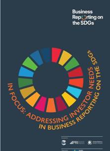 Making Global Goals Local Business A New Era for Responsible Business