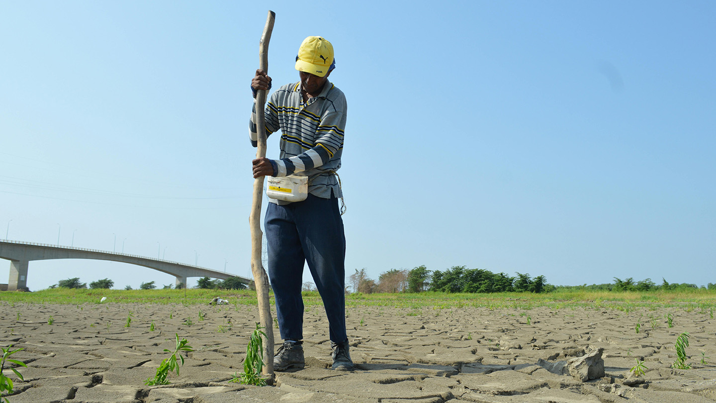 capitale naturale e biodiversita una priorita strategica per le imprese 04